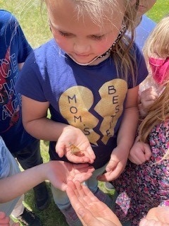 Spring activities