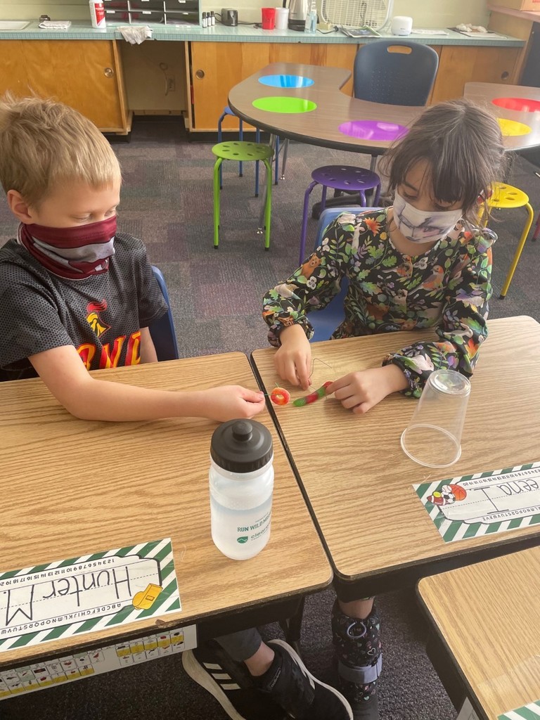 worm activity