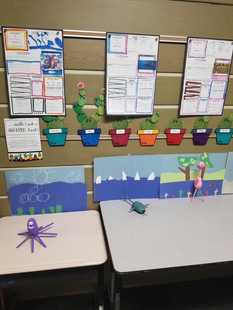 Octopus, Narwhal, and Flamingo!