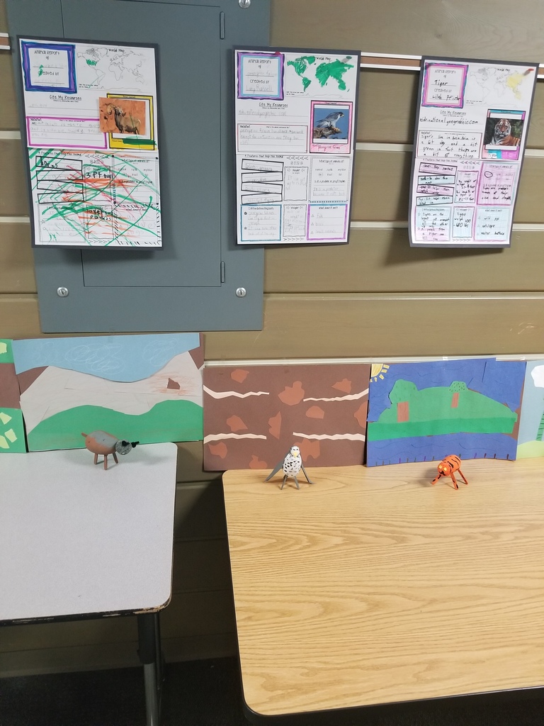 Big Horn Sheep, Peregrine Falcon, and Tiger