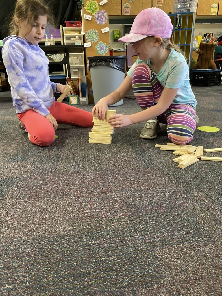 STEM challenges with a partner