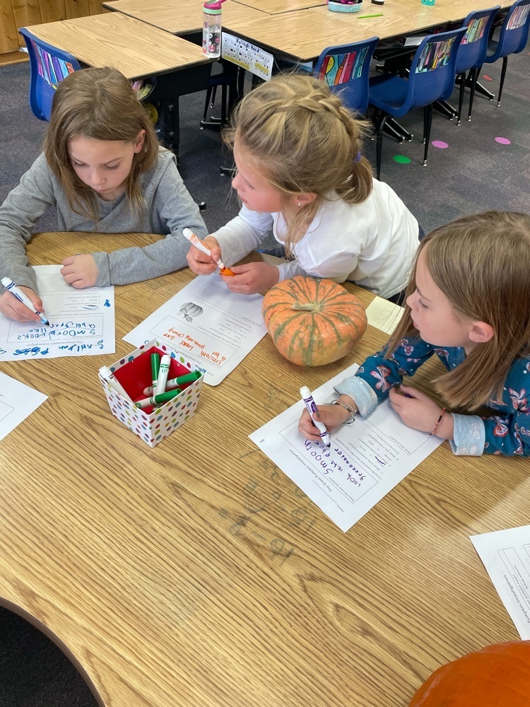 pumpkin investigations