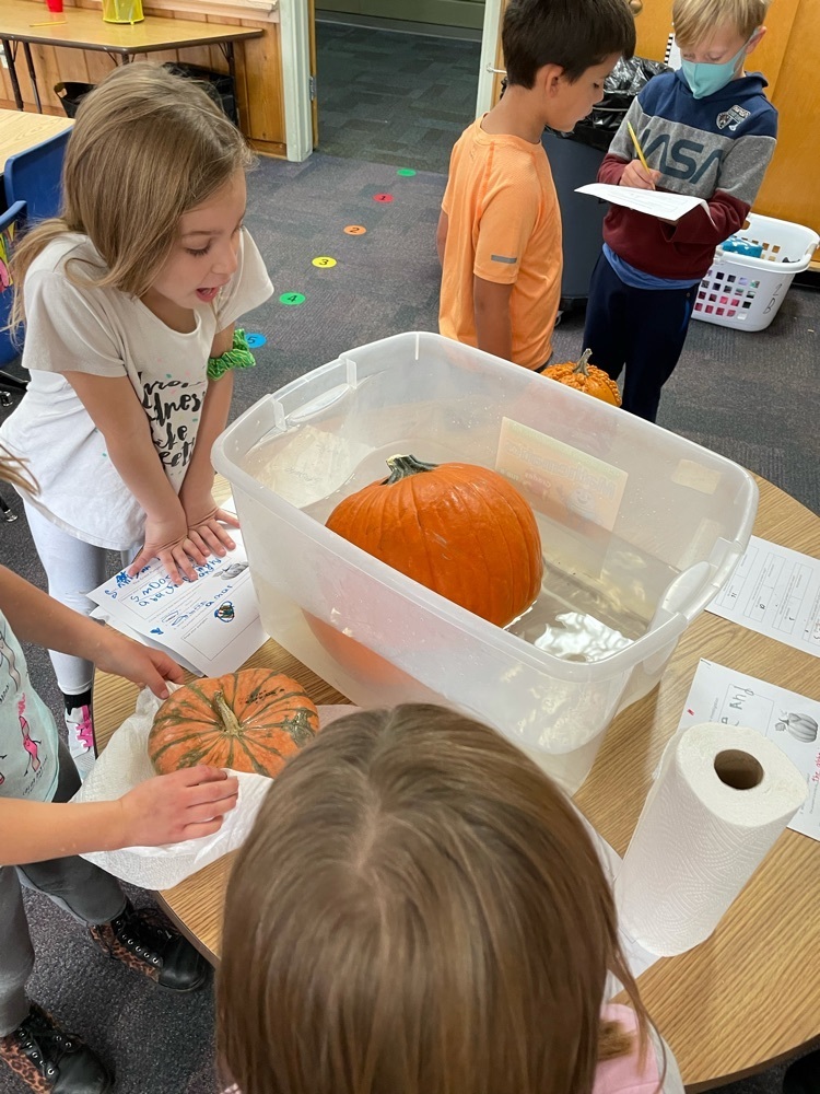 pumpkin in water
