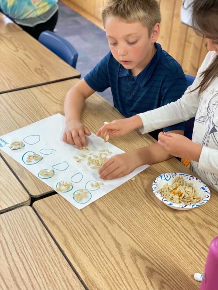 counting pumpkin seeds