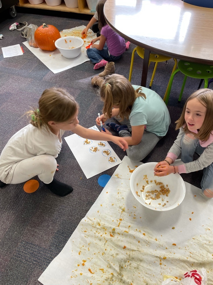 counting seeds