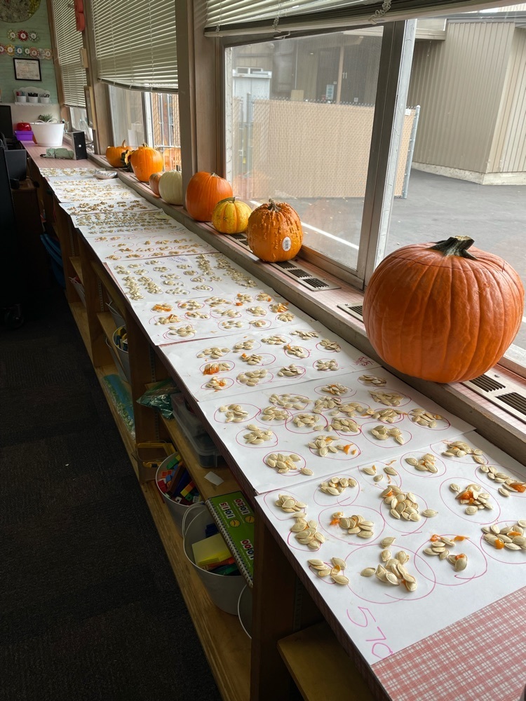 pumpkin seeds