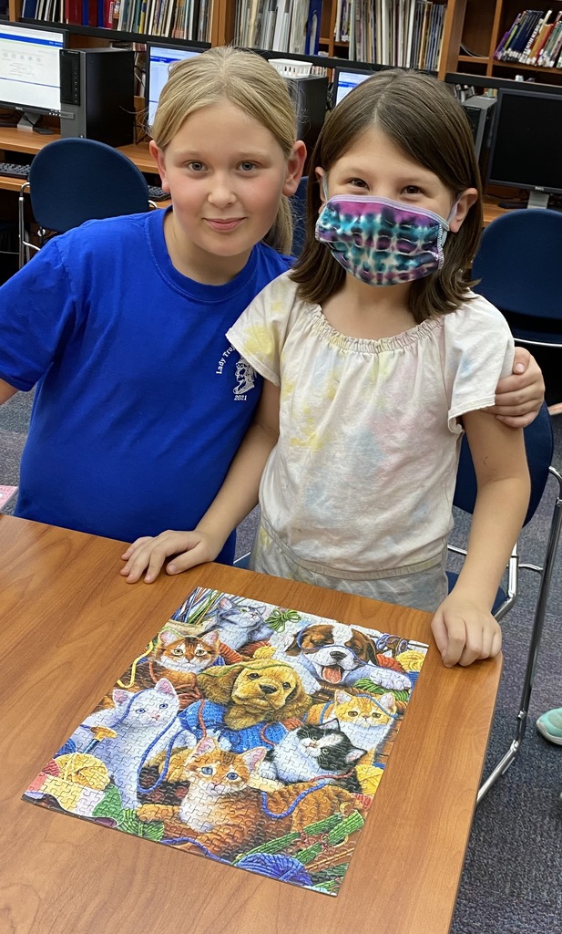finished library puzzles