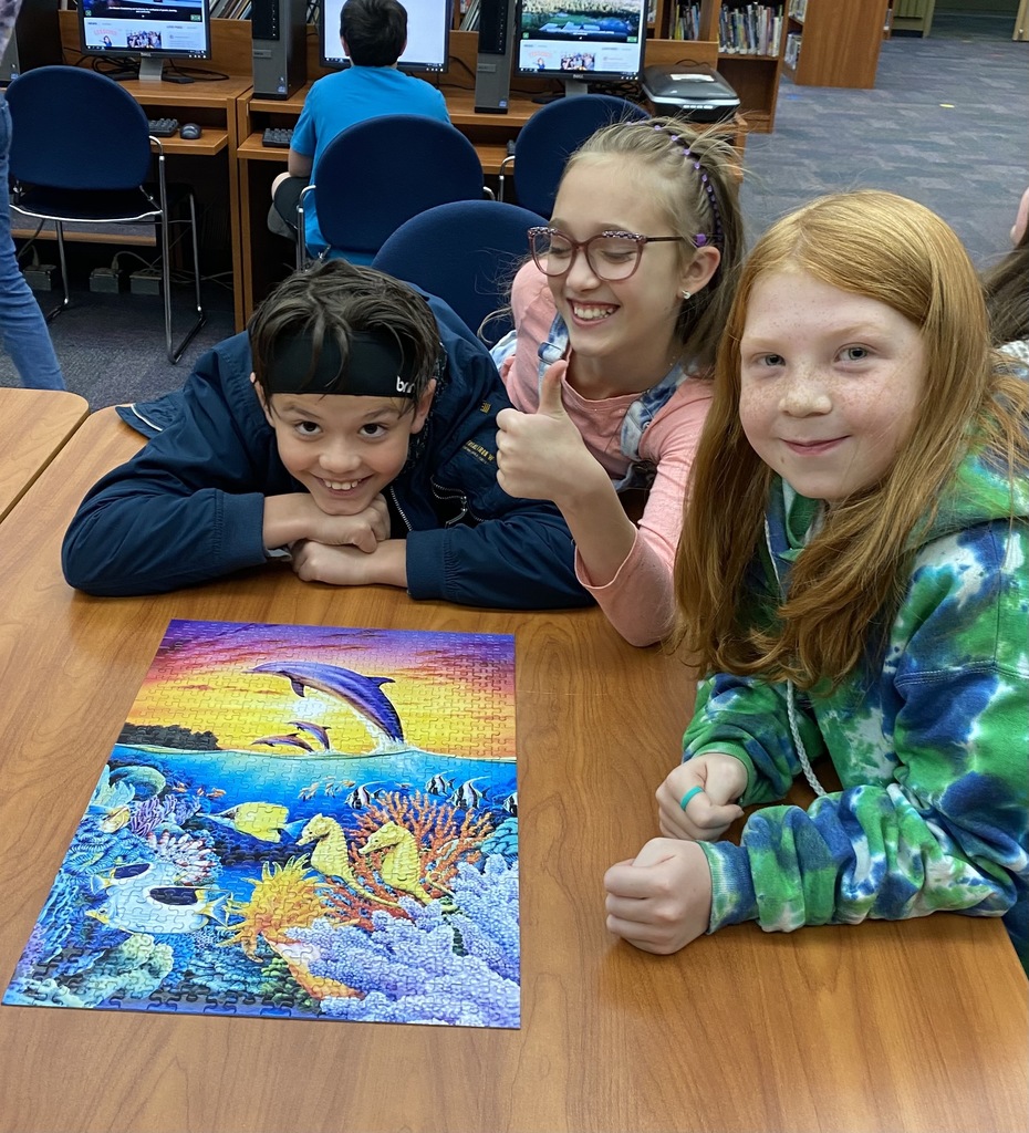 finished library puzzles