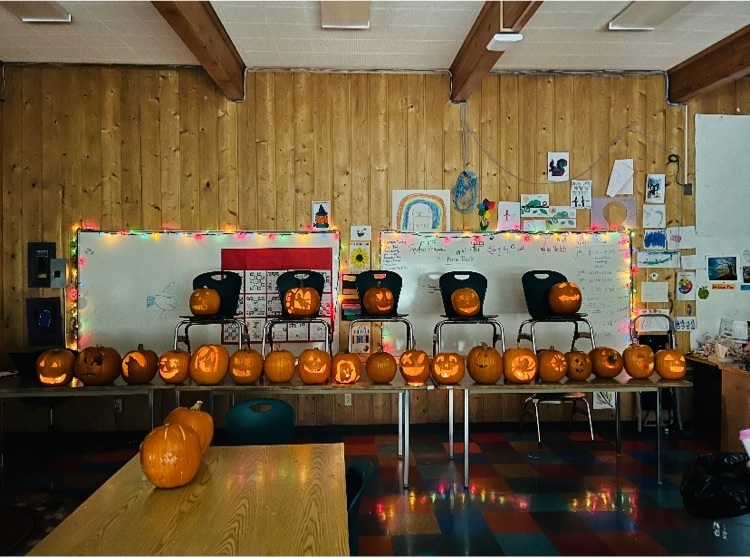 MT Living pumpkins 2021