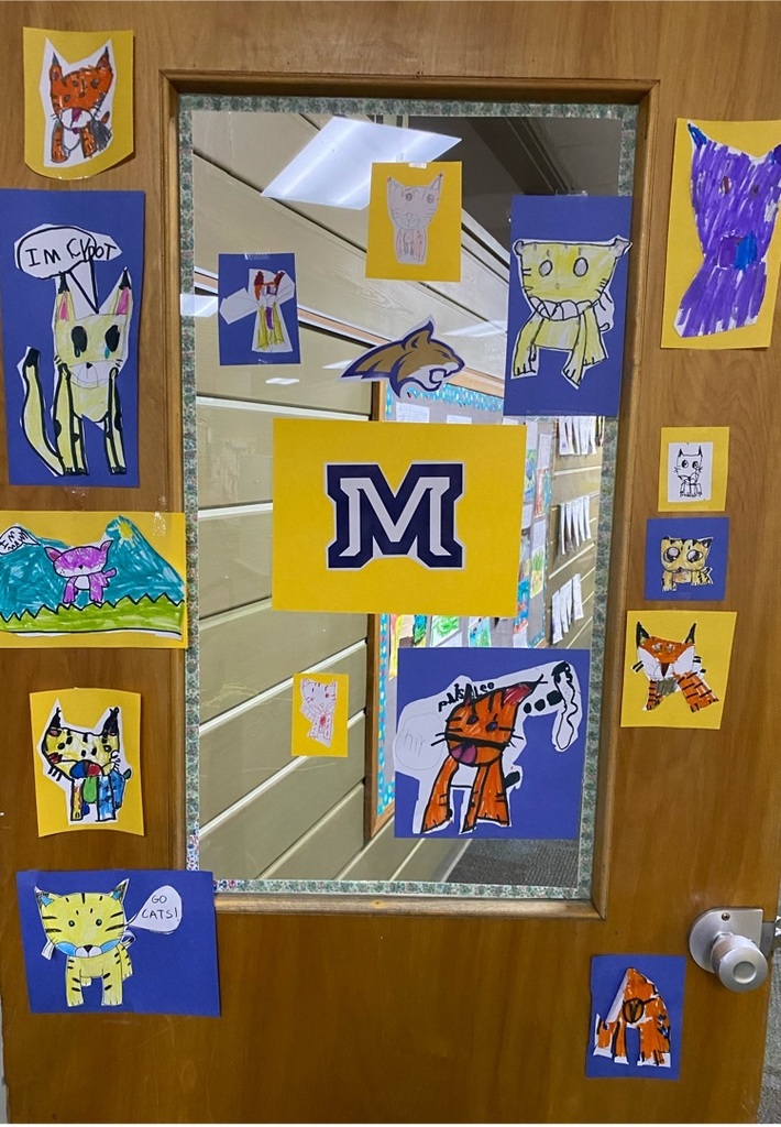 MSU themed door